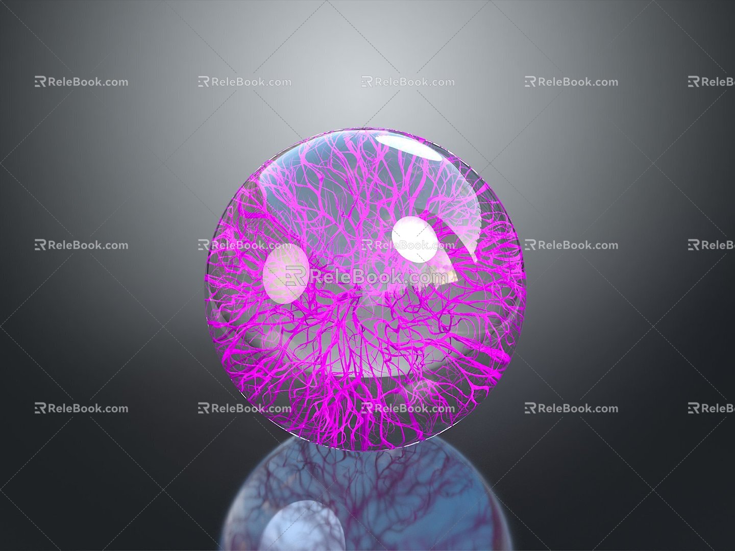 Neurons Anatomical Organs Human Organs Human Organs Human Body Tissue Human Body Structure 3d model