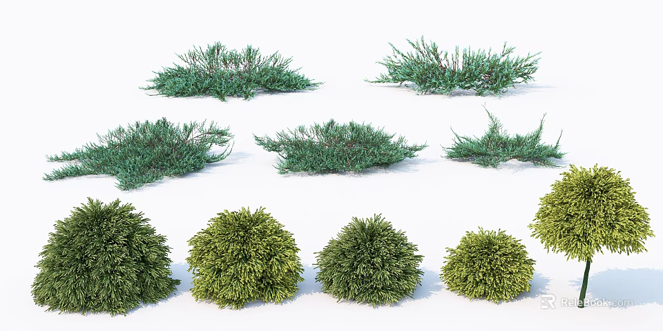 Different Green Shrub Varieties with Various Shapes for Garden Landscaping and Decoration 3d model 