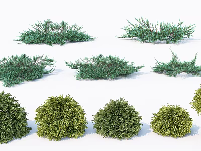 Different Green Shrub Varieties with Various Shapes for Garden Landscaping and Decoration 3d model