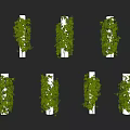 Lush Green Vines Climbing on White Pillars with Fresh Leaves for Garden Decoration
