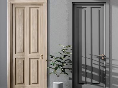 Light Wood And Dark Gray Hinged Doors Interior With Potted Plant 3d model