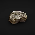 Natural Rockery Stone With Irregular Shape And Textured Surface For Garden Decoration