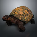 Large Brown Tortoise With Yellow Patterned Shell And Sturdy Legs On Gray Background 3d model