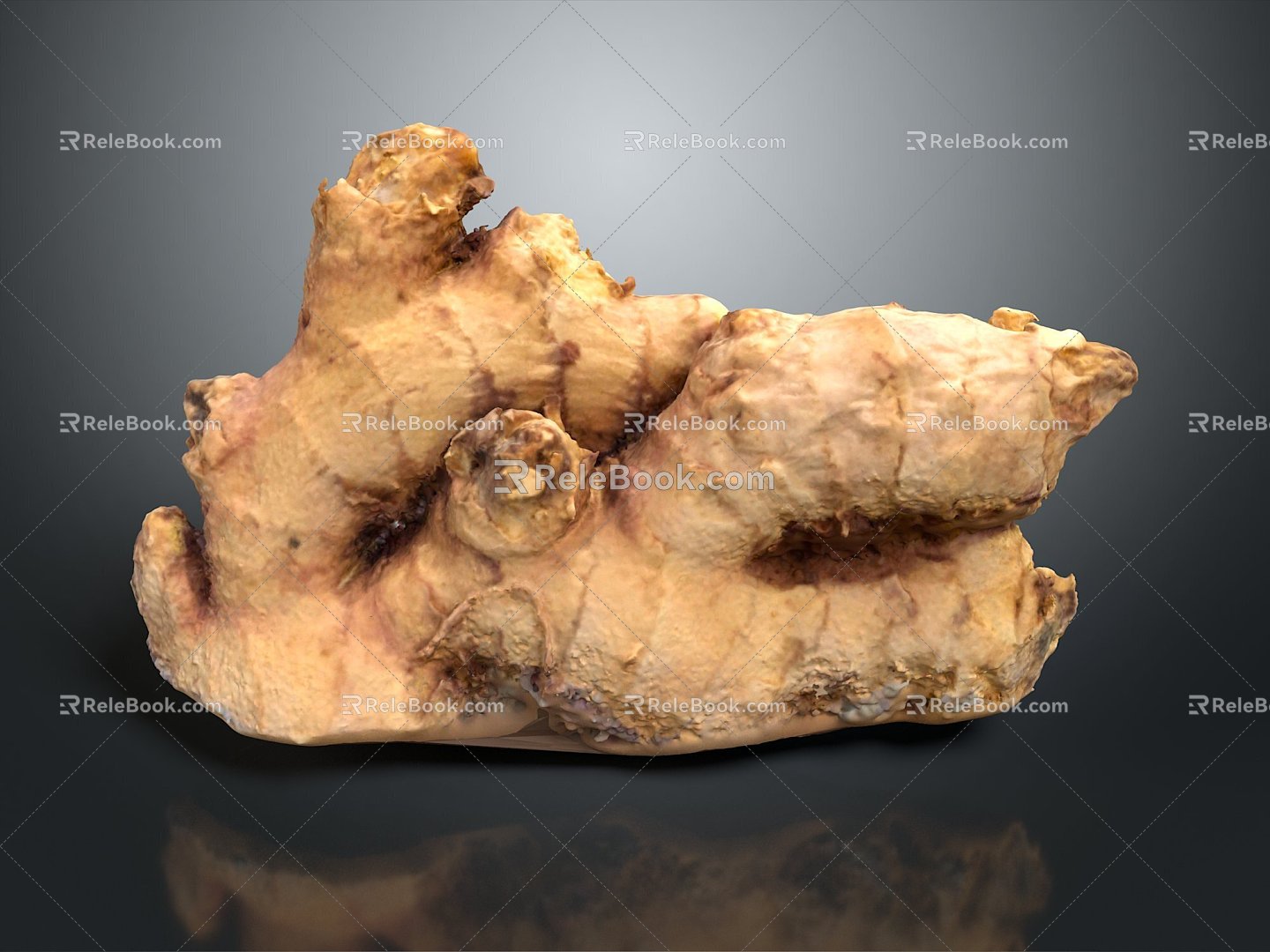 Ginger Ginger Seasoning Ingredients Vegetable Plant 3d model