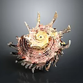 Unique Spiky Seashell With Colorful Spiral Texture And Detailed Decorative Edges