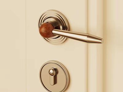 Elegant Door Handle With Wooden Knob And Metal Lever On White Door 3d model