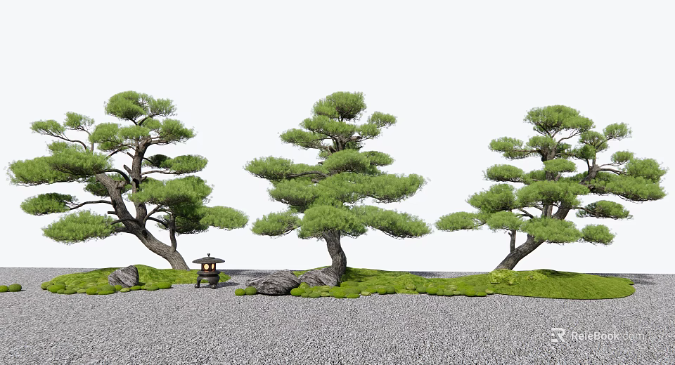 Unique Shaped Arbor Trees In Japanese Garden With Stones Lantern And Grass 3d model 