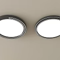 Two Round Modern Ceiling Lights With Black Frame And White Light 3d model