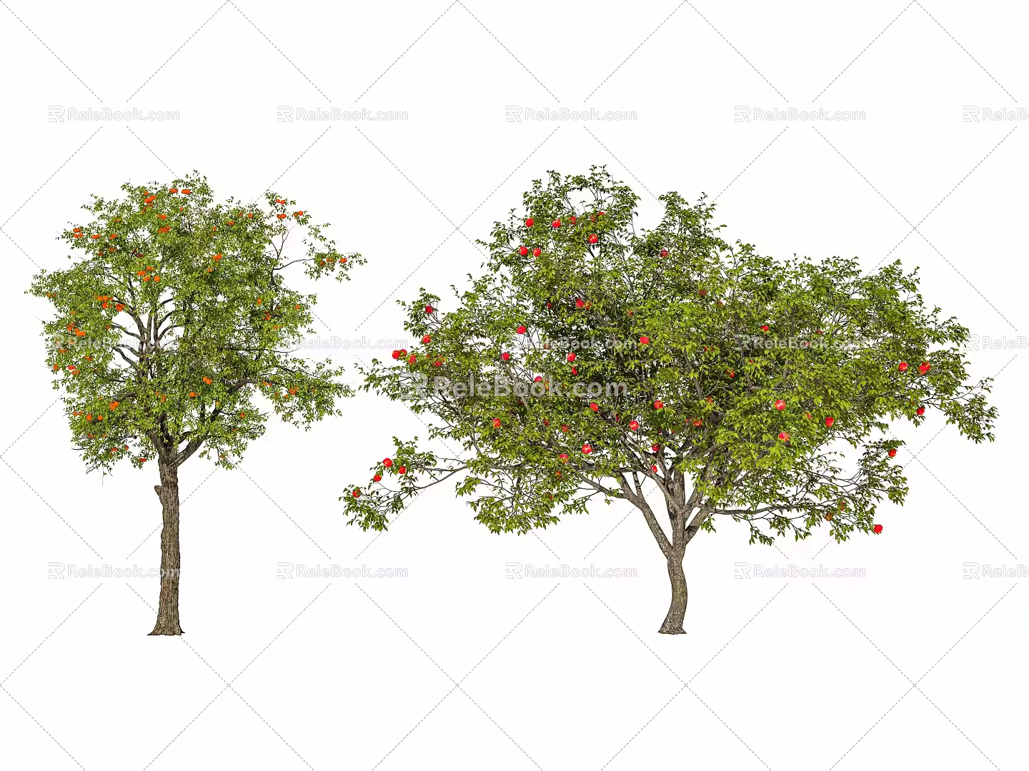 Modern arbor street tree fruit tree landscape tree courtyard tree persimmon tree apple tree pomegranate tree 3d model