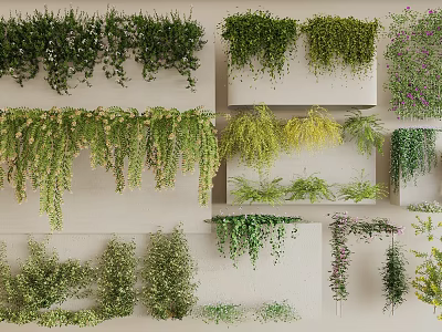 Various Types of Decorative Vines with Green Yellow Leaves and Hanging Patterns 3d model