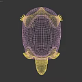 Reptile Tortoise With Textured Shell And Scaly Legs On Light Background 3d model