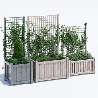 Modern Vine 3d model