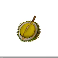 Fresh Ripe Durian Fruit Cut Open Showing Yellow Flesh And Green Spiky Shell