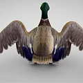 Duck With Green Head Yellow Beak Brown And White Body Spread Wings Standing