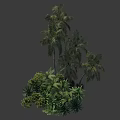 Lush Green Shrubs With Tropical Palm Trees And Diverse Foliage