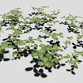 Green Clover Shaped Leaf Seedlings Densely Growing With Shadows On Gray Background 3d model