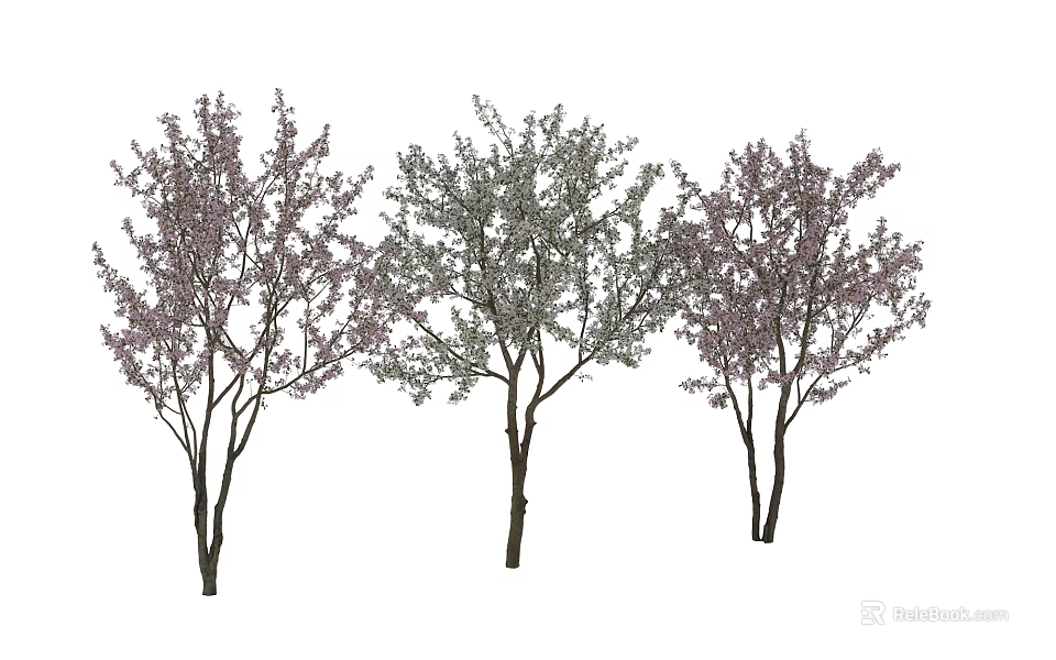 Three Arbor Trees With Pink Blossoms And Green Foliage In Garden Setting 3d model 