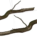 Natural Stone And Wooden Curved Branches With Mossy Texture For Decor