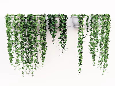 Lush Green Trailing Vines In Wall Hanging Planters With Dense Cascading Foliage 3d model