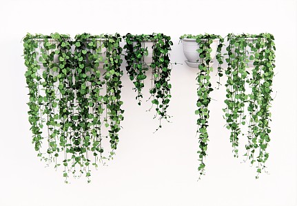 Modern hanging basket plant green plant hanging plant 3d model