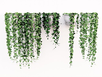 Modern hanging basket plant green plant hanging plant 3d model