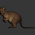 Cute 3D Cartoon Kangaroo Character With Brown Fur And Big Ears