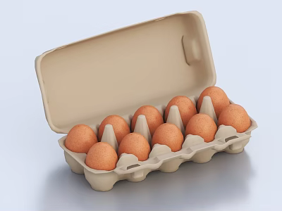 Open Paper Egg Carton With Ten Fresh Orange Eggs Inside 3d model