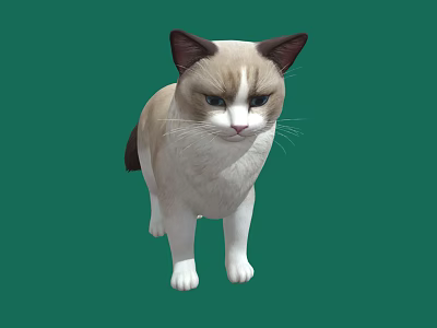 Cream And White Cat With Dark Ears Standing On Green Background 3d model