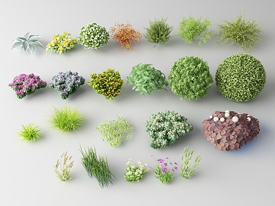 Modern shrubs 3d model