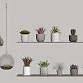 Indoor Plant Display With Shelves Hanging Glass Planters And Potted Succulents