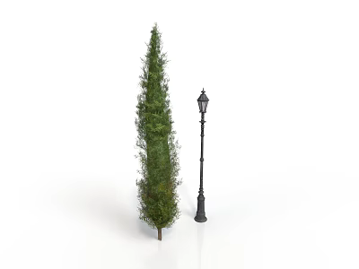 Tall Green Cedar Tree And Vintage Black Street Lamp On White Surface 3d model