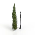 Tall Green Cedar Tree And Vintage Black Street Lamp On White Surface