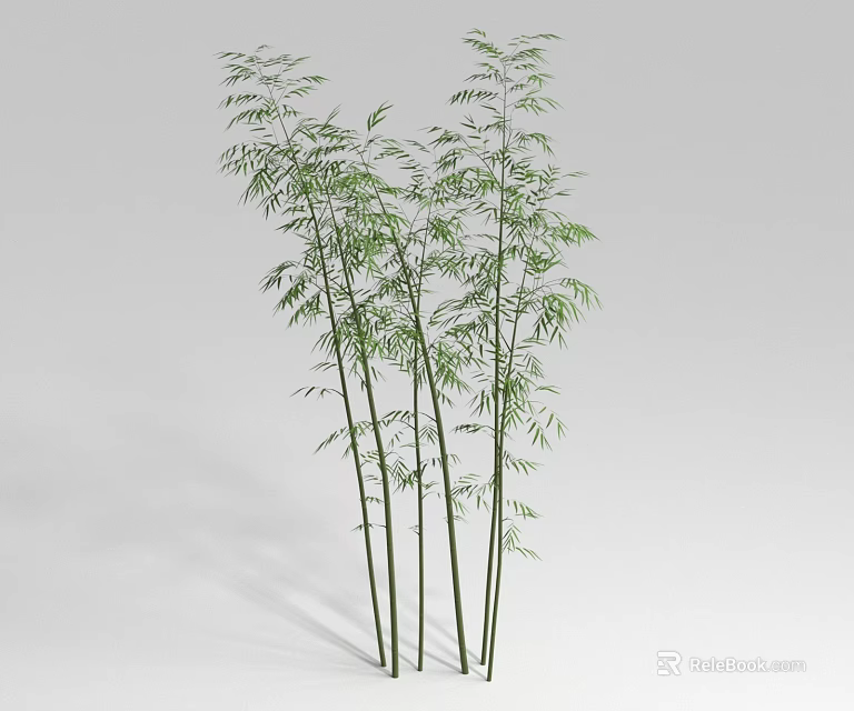 Tall Green Bamboo Plants With Lush Leaves And Multiple Stalks For Decoration 3d model 