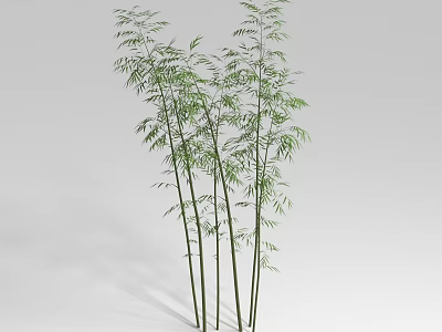Tall Green Bamboo Plants With Lush Leaves And Multiple Stalks For Decoration 3d model