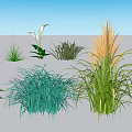 Assorted Garden Flowers And Green Plants With Ferns Ornamental Grasses And Colorful Blooms