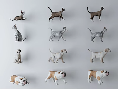 Colorful Reptile Models In Various Poses Standing Lying And Walking On White Background 3d model