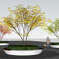 Circular Tree Planter with Colorful Leaf Trees in Urban Paving Area with Person and Dog