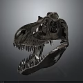 Detailed T Rex Dinosaur Skull With Visible Skeletal Organs And Sharp Teeth Structure 3d model