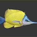 Vibrant Yellow And Blue Fish Figurine With Long Beak On Reflective Smooth Surface