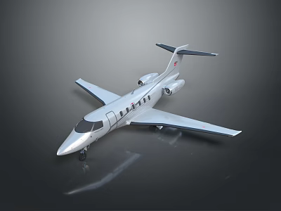 Small Silver Private Jet With Streamlined Design Tail Wing And Reflective Surface 3d model