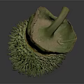 Green Spiky Tropical Plant Fruit with Fresh Green Leaves on Dark Background