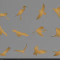 Flying Animals Golden Silhouettes of Various Bird Species in Different Poses