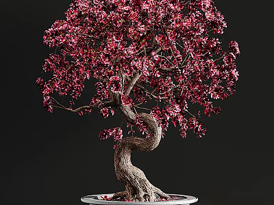 Beautiful Bonsai Tree With Vibrant Red Leaves And Twisted Trunk In White Pot 3d model