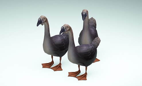 Modern Goose 3d model