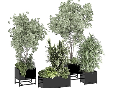 Plant decoration 3d model