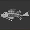 Metallic Silver Fish Skeleton Sculpture With Detailed Bone Structure And Reflective Surface 3d model
