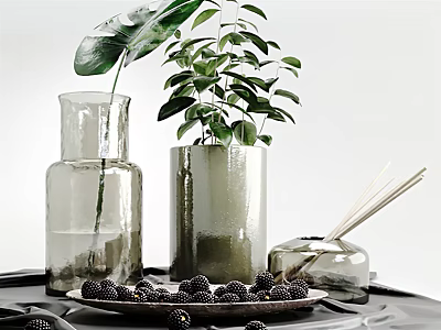 Minimalist Decorative Ornament Set With Glass Vases Green Plants Leaf Fragrance Sticks And Black Berries 3d model