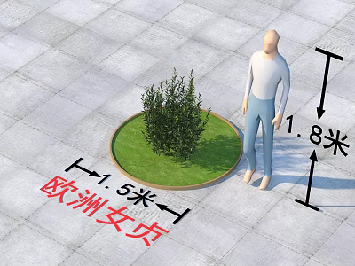 European Privet Shrub in Circular Green Area with 1.5m Diameter and 1.8m Height Reference 3d model
