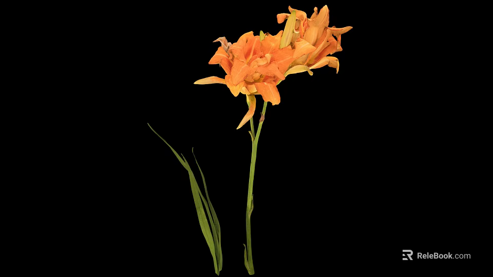Vibrant Orange Flower With Green Stem And Leaves On Black Background 3d model 