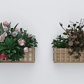 Wall Mounted Wooden Garden Planters With Various Flowers And Green Plants